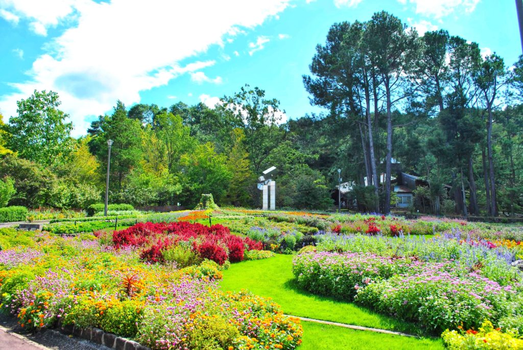 花の文化園